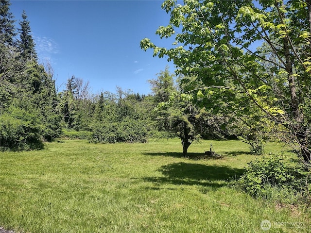 2833 US Highway 12, Salkum, WA 98582