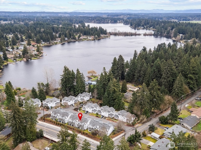 drone / aerial view with a residential view, a view of trees, and a water view