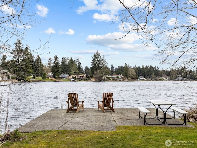 dock area with a water view