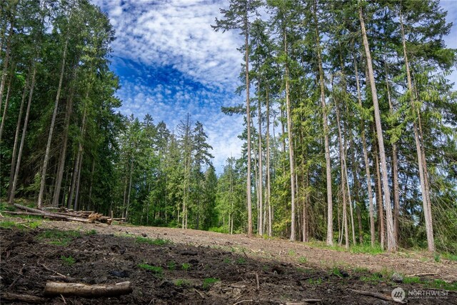 136 Bonneville Ln, Sequim, WA 98382