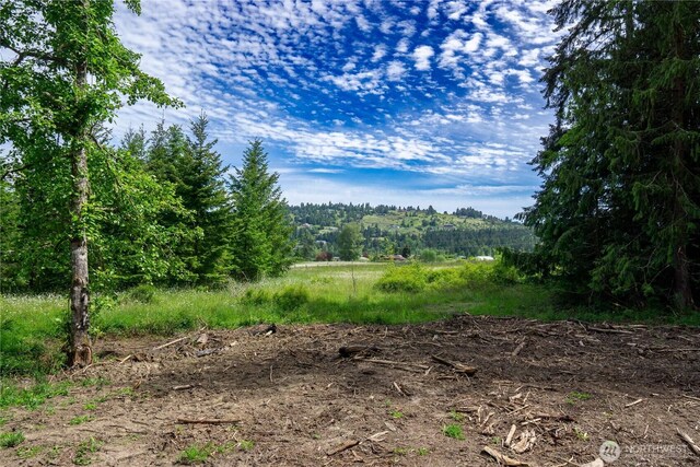136 Bonneville Ln, Sequim, WA 98382