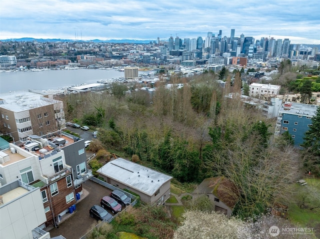 drone / aerial view featuring a city view