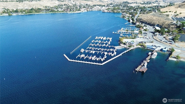 drone / aerial view with a water view