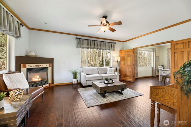 living room featuring baseboards, a glass covered fireplace, dark wood-style floors, ceiling fan, and crown molding