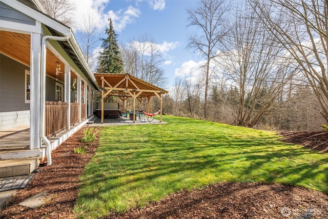 view of yard featuring a patio area