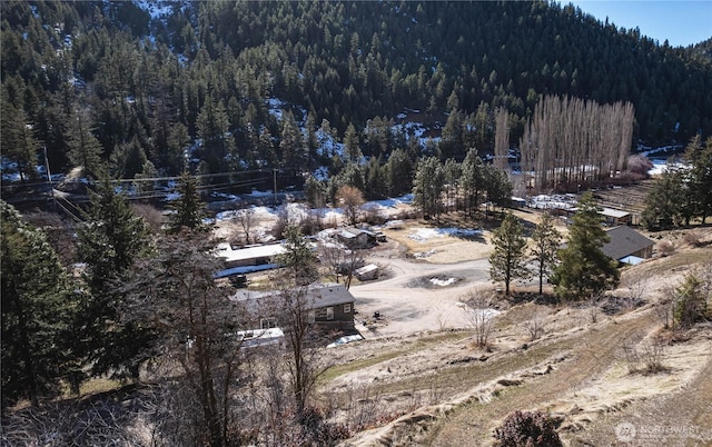 bird's eye view with a view of trees