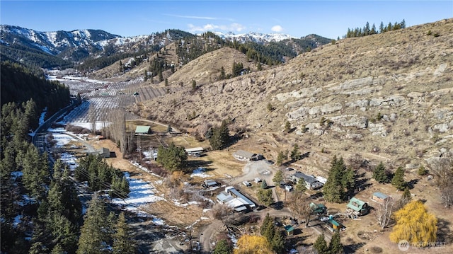 birds eye view of property featuring a mountain view