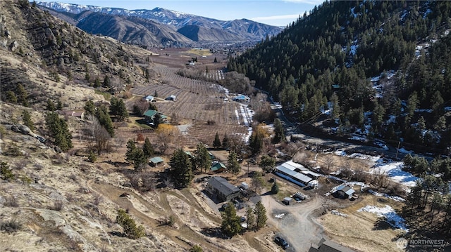 bird's eye view featuring a mountain view