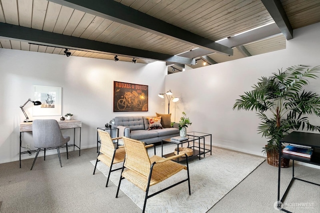 living room with carpet flooring, baseboards, and track lighting