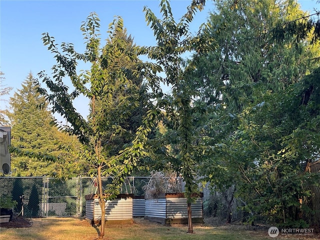 view of yard featuring fence