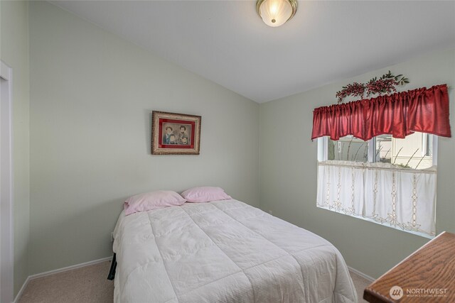 bedroom with baseboards, carpet, and vaulted ceiling