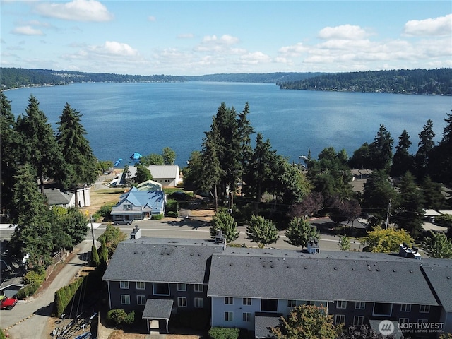 bird's eye view with a water view