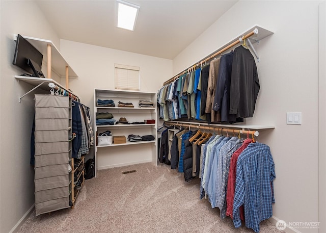 spacious closet with carpet flooring