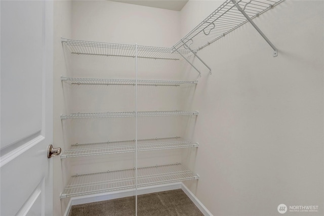 spacious closet with carpet floors