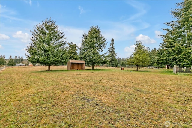 view of yard with a shed and an outbuilding