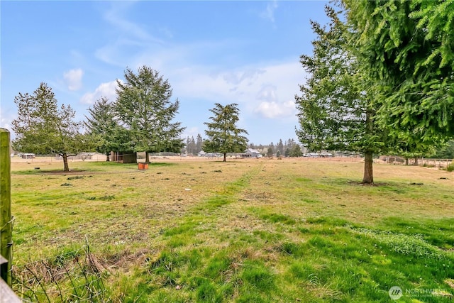 view of yard featuring a rural view