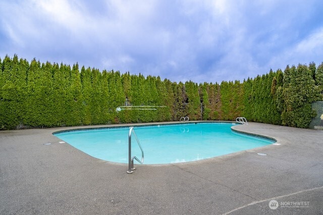 outdoor pool featuring a wooded view and a patio