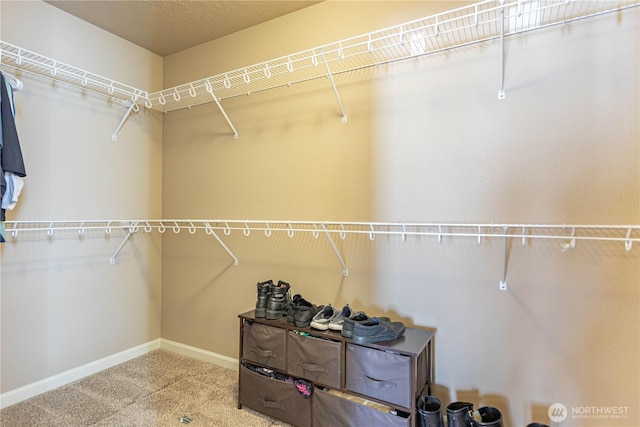 walk in closet featuring carpet flooring