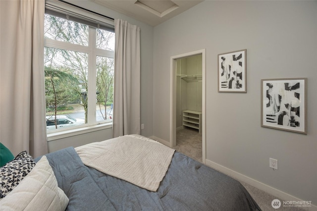 bedroom with carpet flooring, a spacious closet, baseboards, and multiple windows