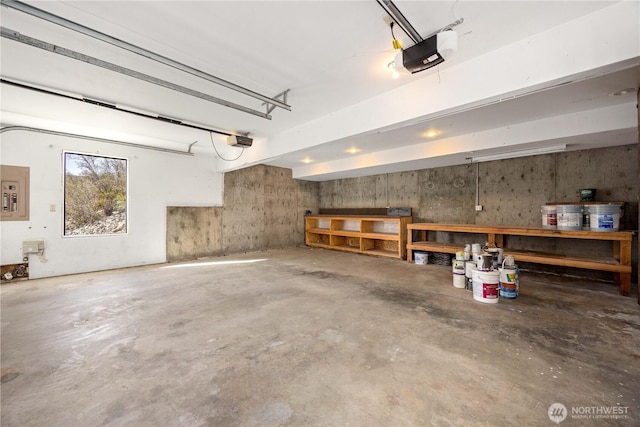 133 Long Dr, Chelan, WA 98816 - garage featuring electric panel, a workshop area, and a garage door opener
