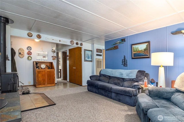 living area with a wood stove