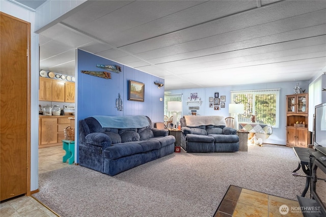 living room featuring carpet flooring