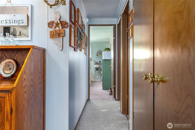 corridor with carpet floors