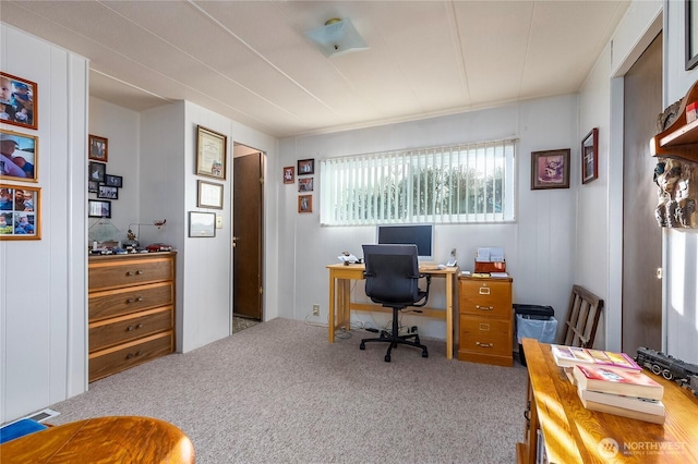 view of carpeted office space