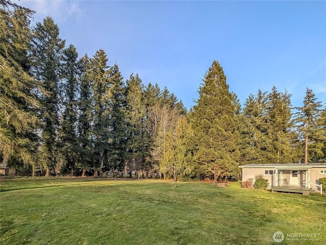 view of yard featuring a deck