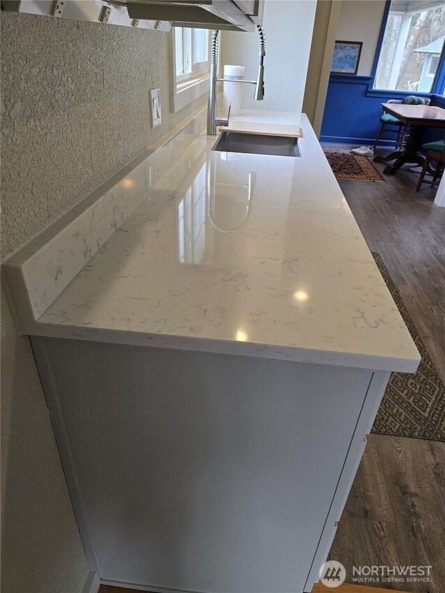 details with dark wood-style flooring and a sink