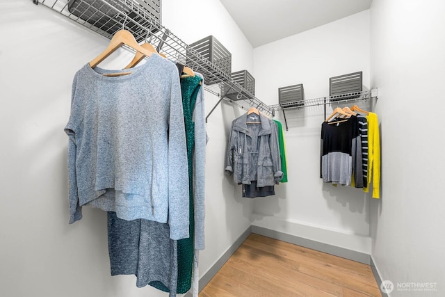 spacious closet featuring wood finished floors