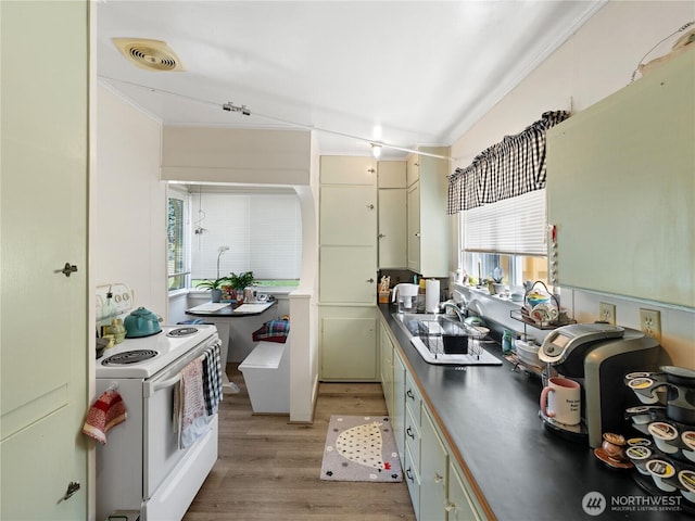 kitchen with electric stove, crown molding, visible vents, a sink, and light wood-type flooring