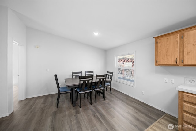 dining space featuring baseboards and dark wood-type flooring