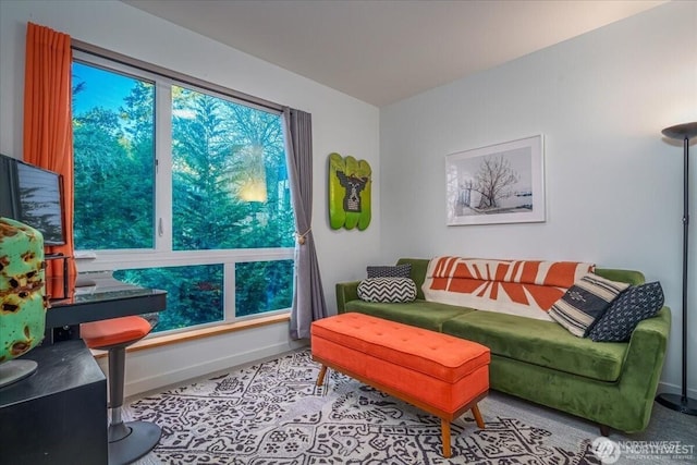 living room with baseboards