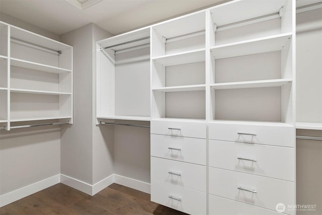 spacious closet featuring dark wood finished floors