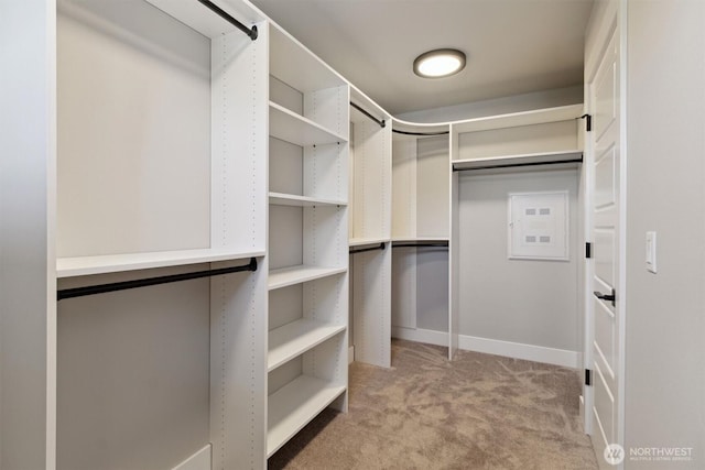 spacious closet featuring light carpet