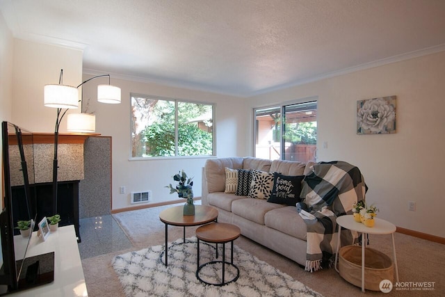 living area featuring visible vents, ornamental molding, carpet flooring, a textured ceiling, and baseboards