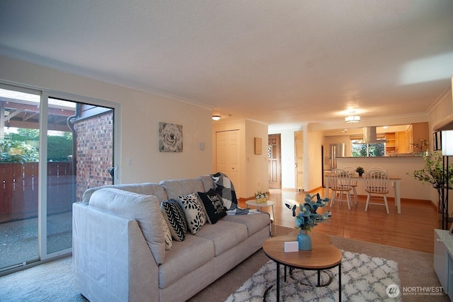 living area with crown molding, baseboards, and wood finished floors