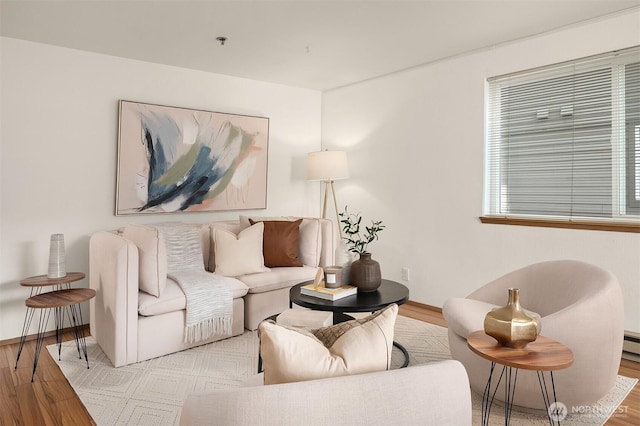 living room featuring wood finished floors