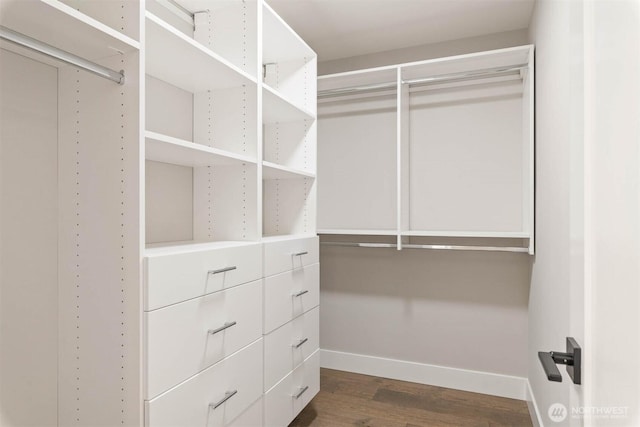 walk in closet featuring dark wood finished floors