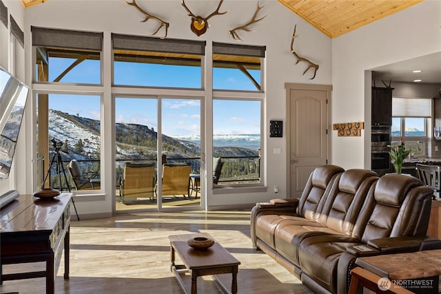 living room with a mountain view, high vaulted ceiling, and wood finished floors