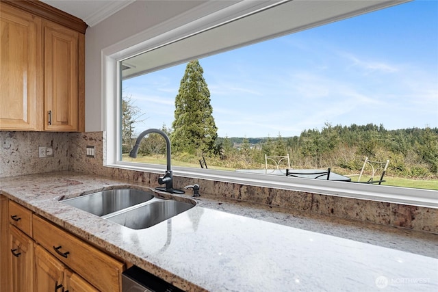 kitchen with ornamental molding, a sink, backsplash, and light stone counters