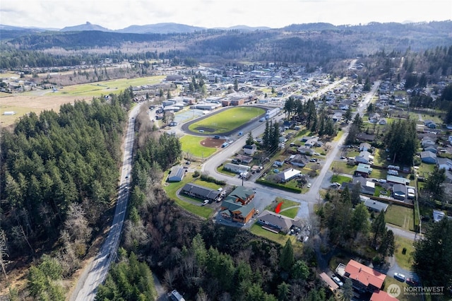 drone / aerial view featuring a forest view and a mountain view