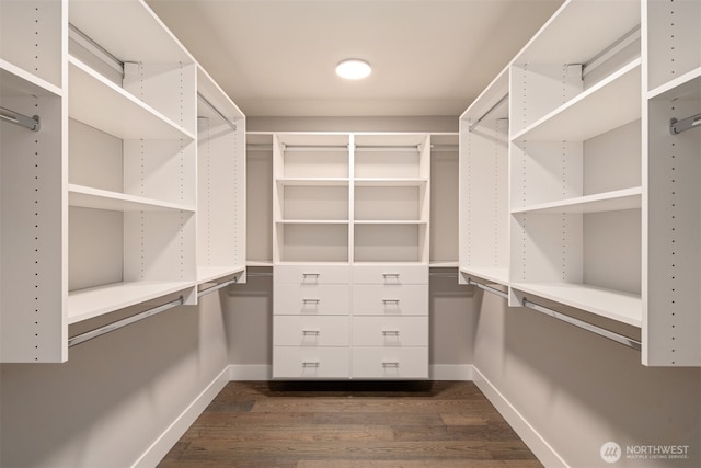 walk in closet with dark wood finished floors