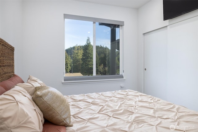 bedroom with a closet