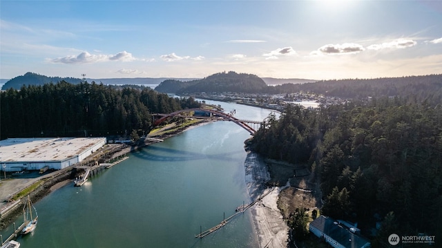 bird's eye view with a water view and a wooded view