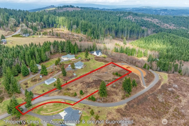 Listing photo 3 for 0 Red Hawk Dr, Castle Rock WA 98611