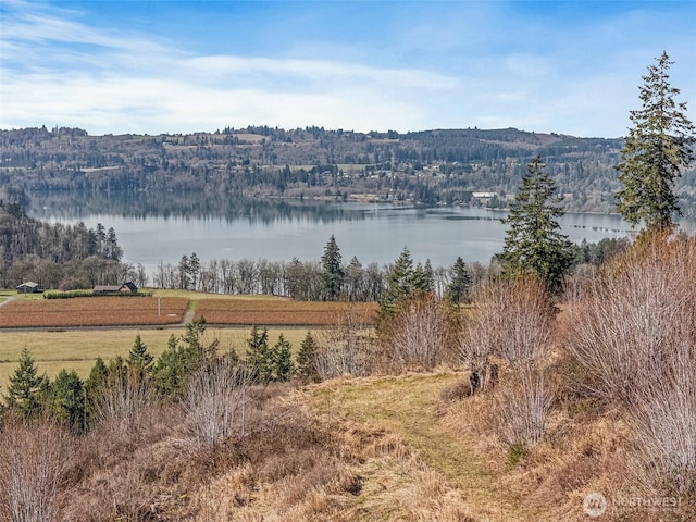 Listing photo 3 for 295 Degoede Dr, Mossyrock WA 98564