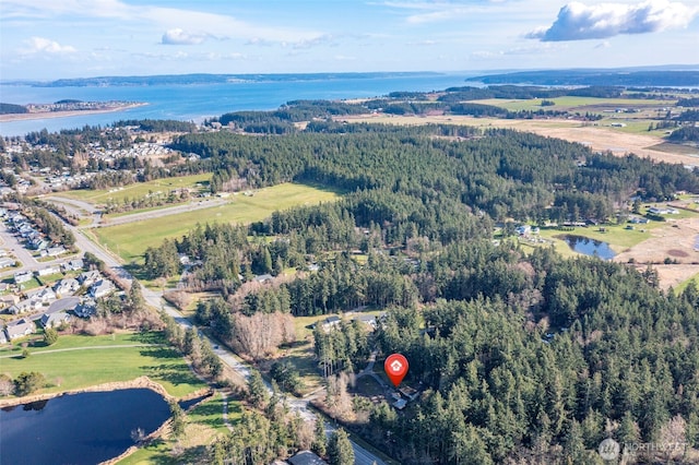 bird's eye view featuring a water view and a view of trees