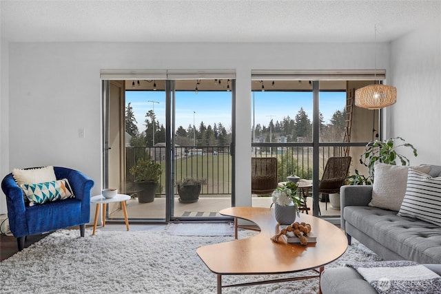 living room featuring a textured ceiling